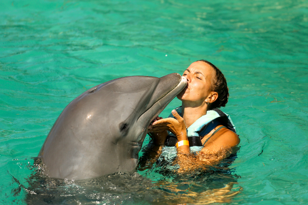 A woman shares a joyful kiss with a dolphin while swimming in clear blue water.